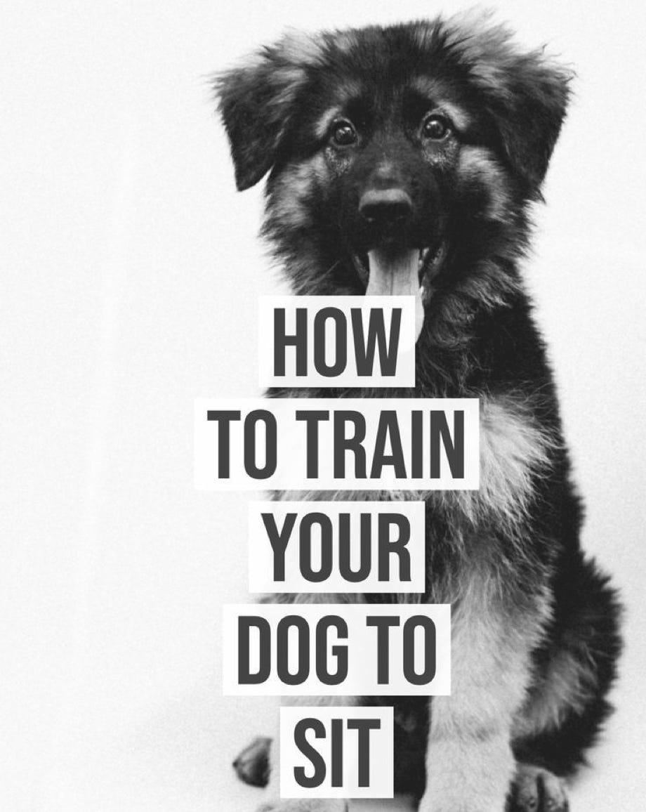 How to train your dog