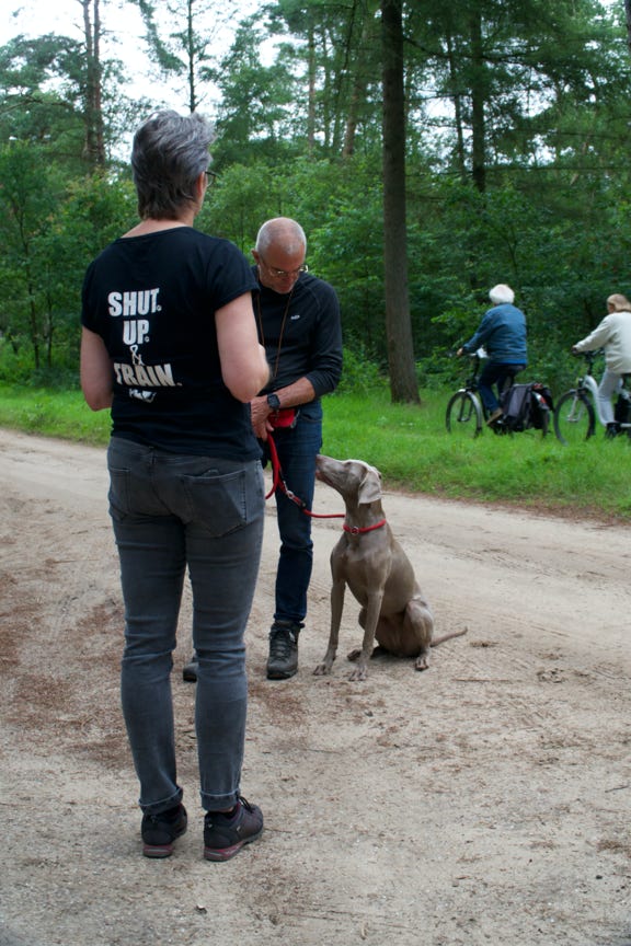 Privé begeleiding in het bos